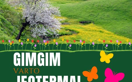 Gımgım Jeotermal Nêwazeno - Varto Jeotermal İstemiyor