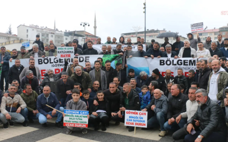 Ma Çolıg de HES Nêwazenê - Bingöl'de HES İstemiyoruz!