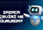 Zazaca Çeviri Otomasyonu Ne Durumda?