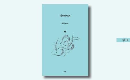 Têmunek