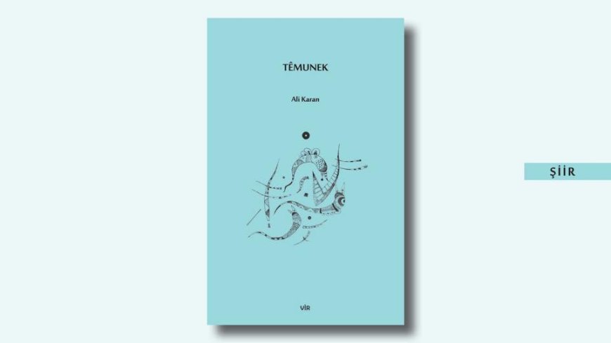 Têmunek