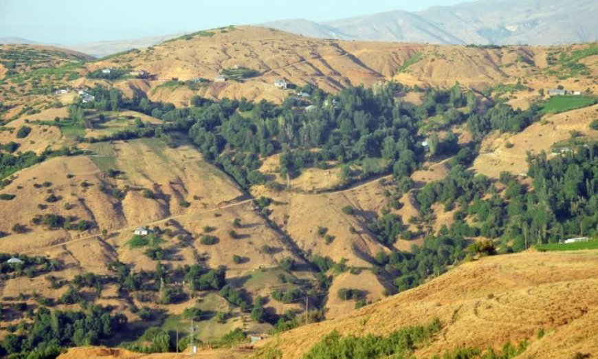 Bingöl Genç (Darayêni) Zaza Köyleri, Aşiret Yapısı ve Tarihi